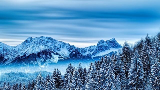 Рождество Господа Бога и Спаса нашего Иисуса Христа (07 января 2020 года) смотреть онлайн