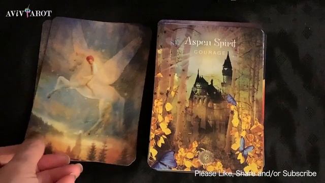 ?Deck Review & Full Flip Through?The Sacred Forest Oracle❤️? смотреть онлайн