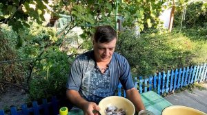 Кефаль пряного посола. Старинный Бердянский рецепт. Так же можно солить и пиленгаса.