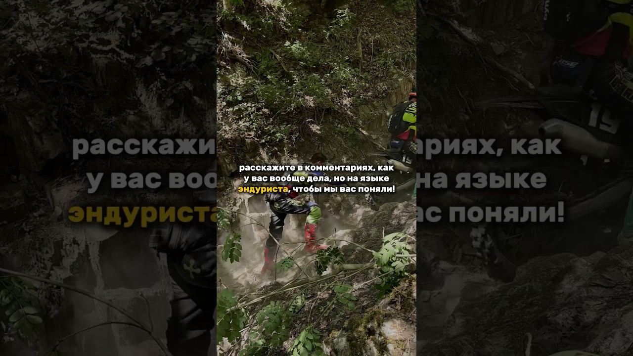 Пиши комментарий! Мы начинаем… едешь без проблем, но иногда что-то отрыгивает#bse #reels #юмор смотреть онлайн