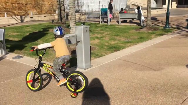 Sonnet 24 смотреть онлайн