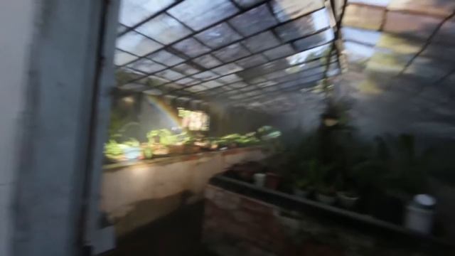 Orquídeas, Cuidados e Histórias para quem gosta com Erico Rohn. Videos Especiais смотреть онлайн