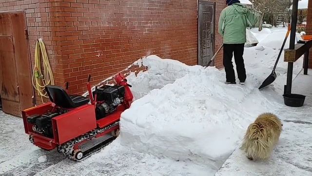 Переброска снега,сошедшего с крыши смотреть онлайн