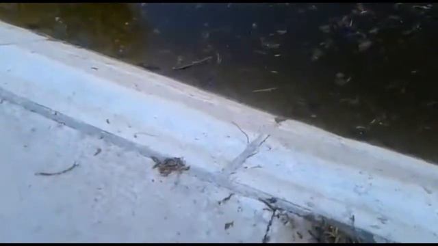 Это всё "за ВАШИ" деньги! смотреть онлайн