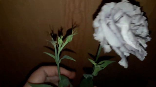 ВЛОГ. ЦВЕТЫ ЕЩЕ НЕ ЗАВЯЛИ. смотреть онлайн