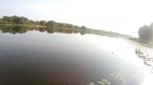 Копия Orbit 110 от Grows Culture. Круче чем Orbit 110!!!