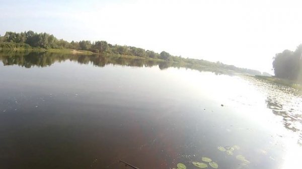 Копия Orbit 110 от Grows Culture. Круче чем Orbit 110!!!