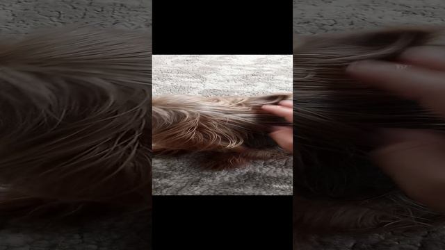 песиль смотреть онлайн