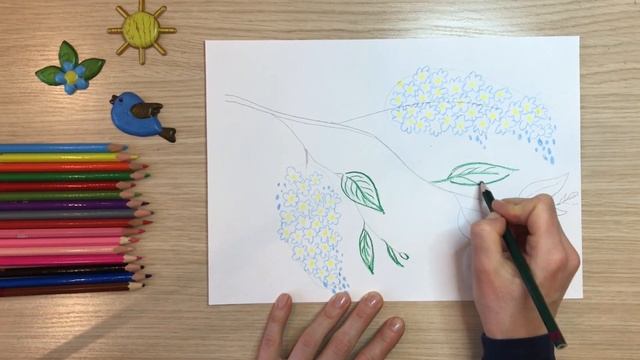 Черемуха рисунок. Как нарисовать черемуху Есенин. Нарисовать рисунок весна. Весеннее цветущее дерев смотреть онлайн