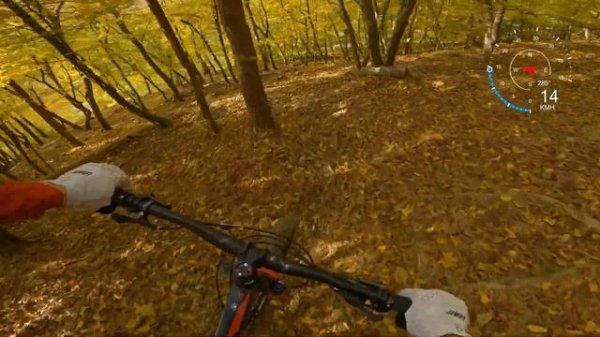 MTB Superiore Trail (Downhill) Trailwerk Wachau ? RAW 2022 | Radon Swoop