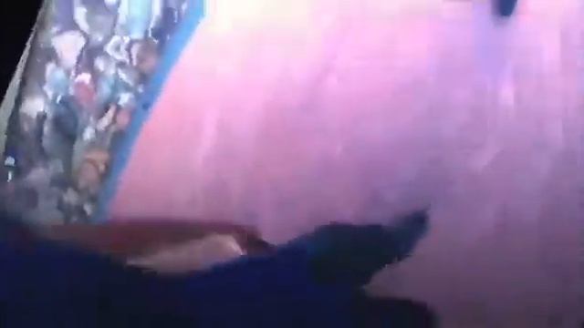 Как же изменился дом Паши Пэла... смотреть онлайн