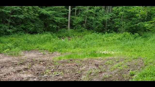 Как сделать солонец