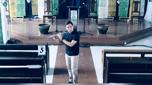 I see you Lord ( Flute Cover) смотреть онлайн