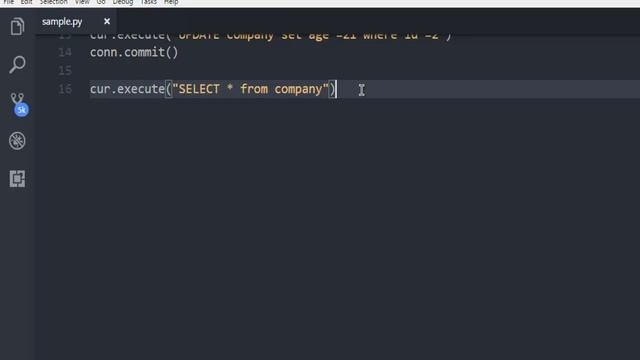 Python PostgreSQL UPDATE query смотреть онлайн