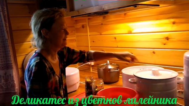 Лилейник. 9 августа 2019 г. смотреть онлайн