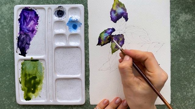 Рисуем базилик акварелью вместе с Inisflowers | Рисование акварелью смотреть онлайн