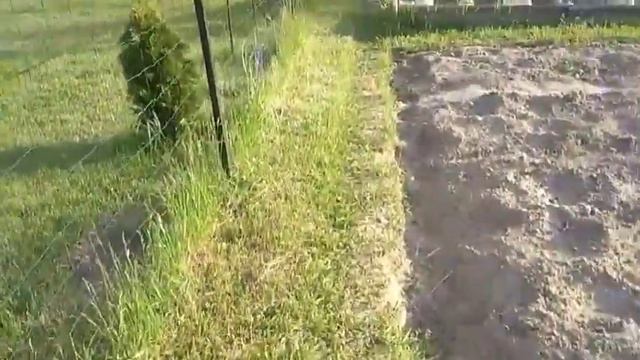 Наша дача. Мои трудовые выходные. Диалог с собакой))) Высадка рассады.Секреты баклажан))) смотреть онлайн