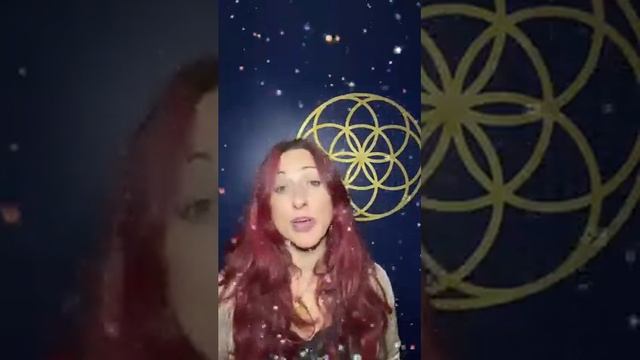 Star Wars New Hope? It's Star Peace! ☮️✨ смотреть онлайн