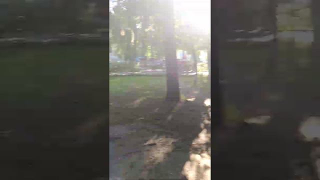 Парк Победы в Ульяновске, алея славы. смотреть онлайн
