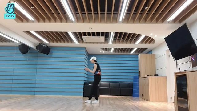 Bang Chan & Hyunjin Red Lights Dance Mirrored