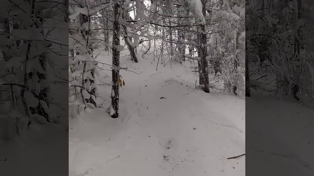 С внучком в Хвалынске !!!!! смотреть онлайн