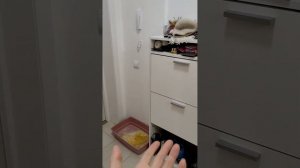 Как мы живём в новой квартире по реновации