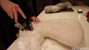 How to make a REALISTIC hobbyhorse