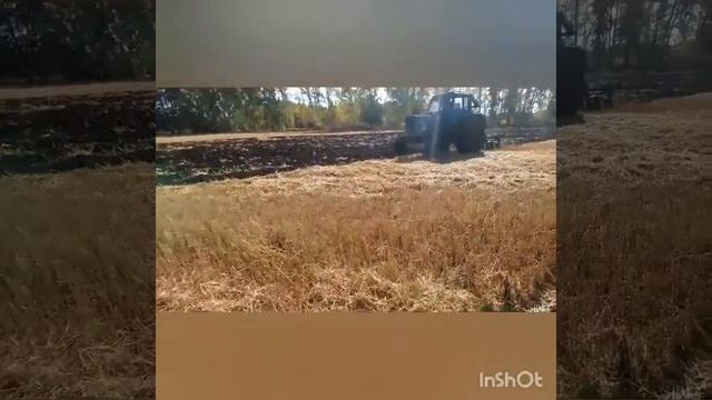 Подготовка земли для посадки озимого чеснока смотреть онлайн