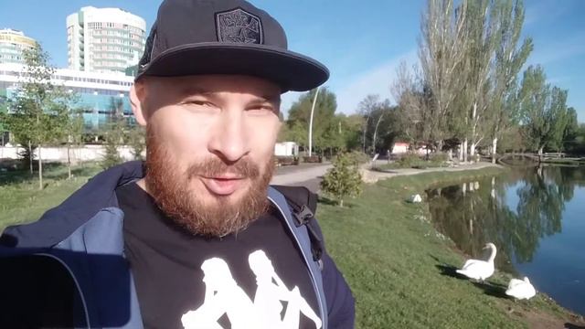 НЕОБЫЧНАЯ ФАУНА ПРУДА В ГАГАРИНСКОМ ПАРКЕ. Черепахи, лебеди и физкультурник. смотреть онлайн