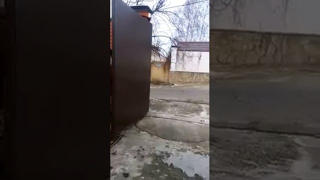 Автоматика распашных ворот Nice HY7005 Hippo (umdom123.ru)