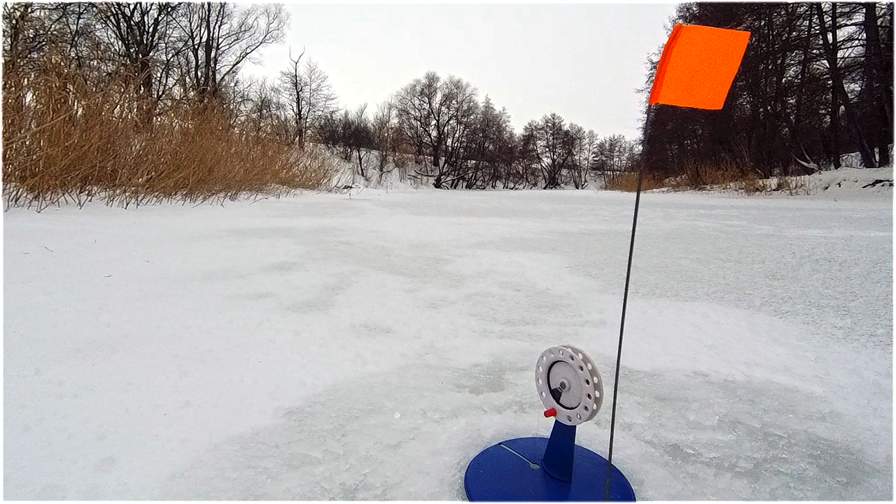 МОЙ ПЕРВЫЙ ЛЁД! Куда я пропал! Жерлицы на ночь. Зимняя рыбалка 2022.