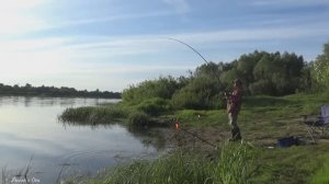 Рыбачу ,а Место уже ЗАНЯЛИ! Рыбалка на Леща_Сало_Донки. Рыбалка на Оке