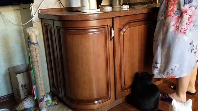 Очень нетерпеливое животное смотреть онлайн