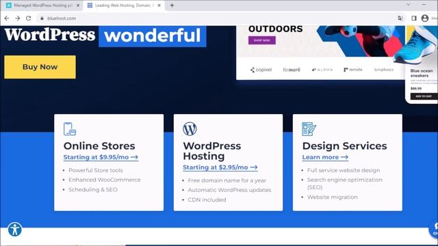 WP Engine vs Bluehost | Best WordPress Hosting Providers смотреть онлайн