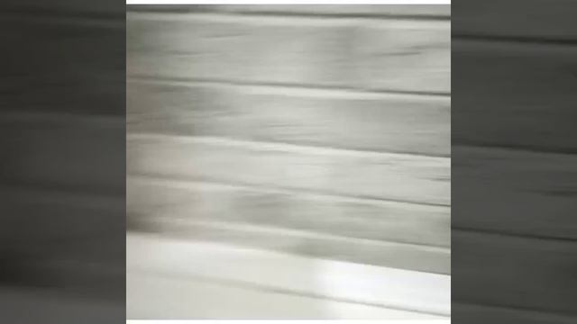 Куда капать капли от блох кошке. смотреть онлайн