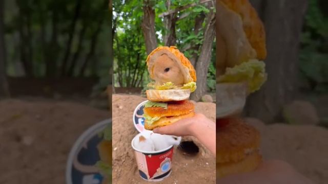 Ушастый гамбургер               
#shorts