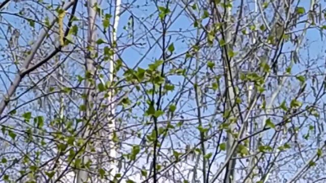 30 апреля 2021ВЕЛИКАЯ СТРАСТНАЯ ПЯТНИЦА.Как узнать о дне смерти.Что нельзя делать.Народные приметы смотреть онлайн