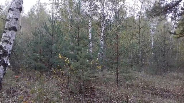 Опять про дыхание !"Марафон здоровья и разговорный марафон" день 8. смотреть онлайн