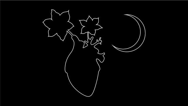 НАРЦИССИЗМ. КАК ВАШ ОРГАНИЗМ РЕАГИРУЕТ НА НАРЦИССА. ЧАСТЬ 2