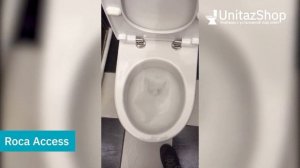 Смыв и Микролифт унитаза Roca Access от UnitazShop