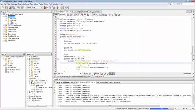 Generate REST Clients via WADL and NetBeans IDE смотреть онлайн