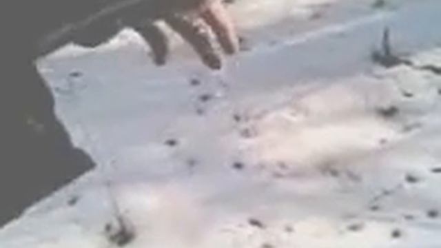 Видео012 Слив воды из болотников после подъема по бешенной реке. смотреть онлайн