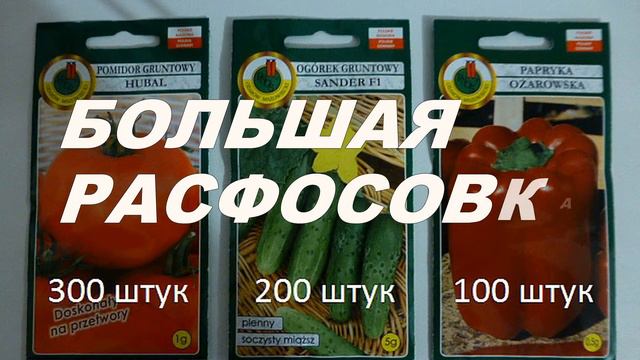 ПОЛЬСКИЕ СЕМЕНА смотреть онлайн