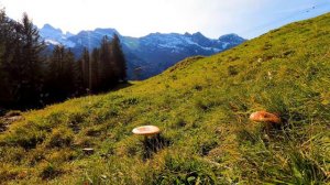 Соседка очень хотела т*****я и заманила красвчика.... Что произошло... Реальные истории...