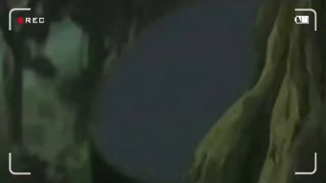 Наруто Смешные моменты #3 Анкорд Жжет Приколы