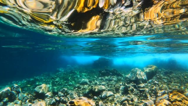 Underwater Music - Dolphin & Whale Sounds: Relaxing Music for Harmony of Inner Peace смотреть онлайн