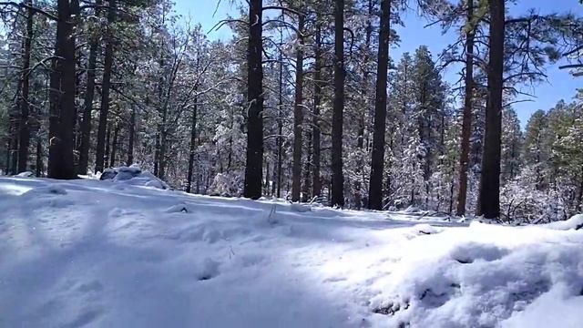 4x4 Astro Van - Devil Dog Road In Snow смотреть онлайн