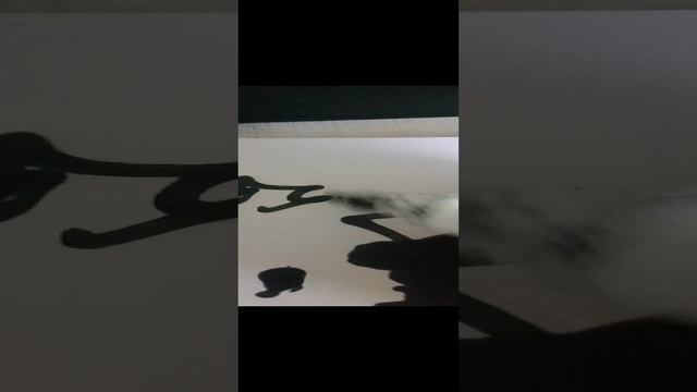 уф сквизер поход смотреть онлайн