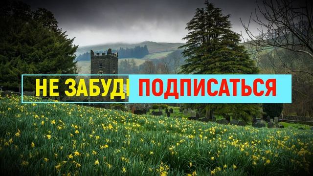✔ Аудио рассказ ? Размышления ✔ Истории из реальной жизни смотреть онлайн