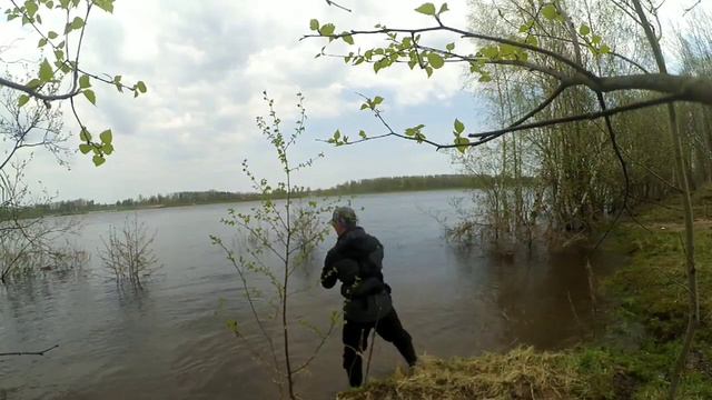 Плотва и уклейка на СПИННИНГ клюет с каждой проводки. Мормышинг в мае. смотреть онлайн